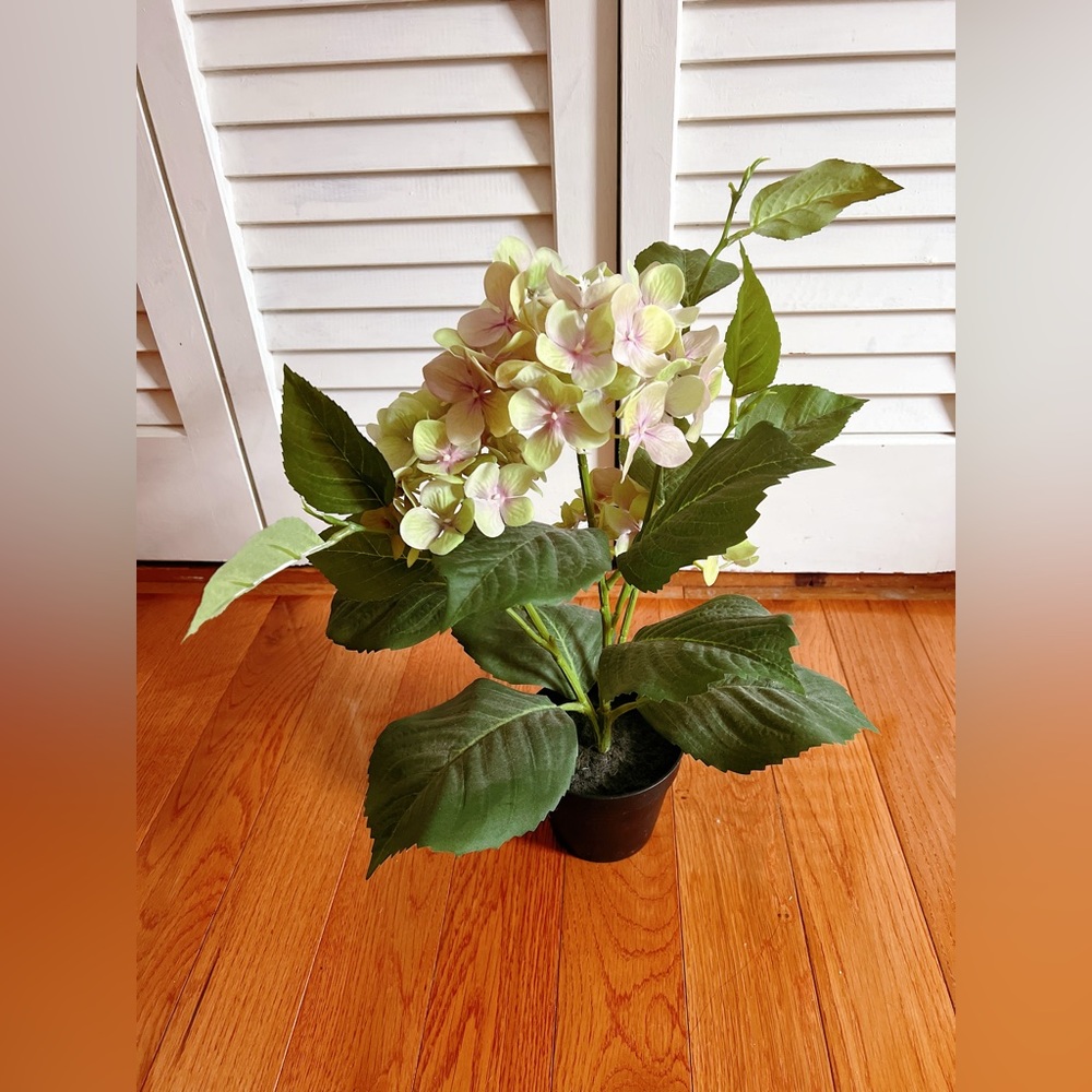 IKEA FEJKA artificial plant pot (IKEA FEJKA)